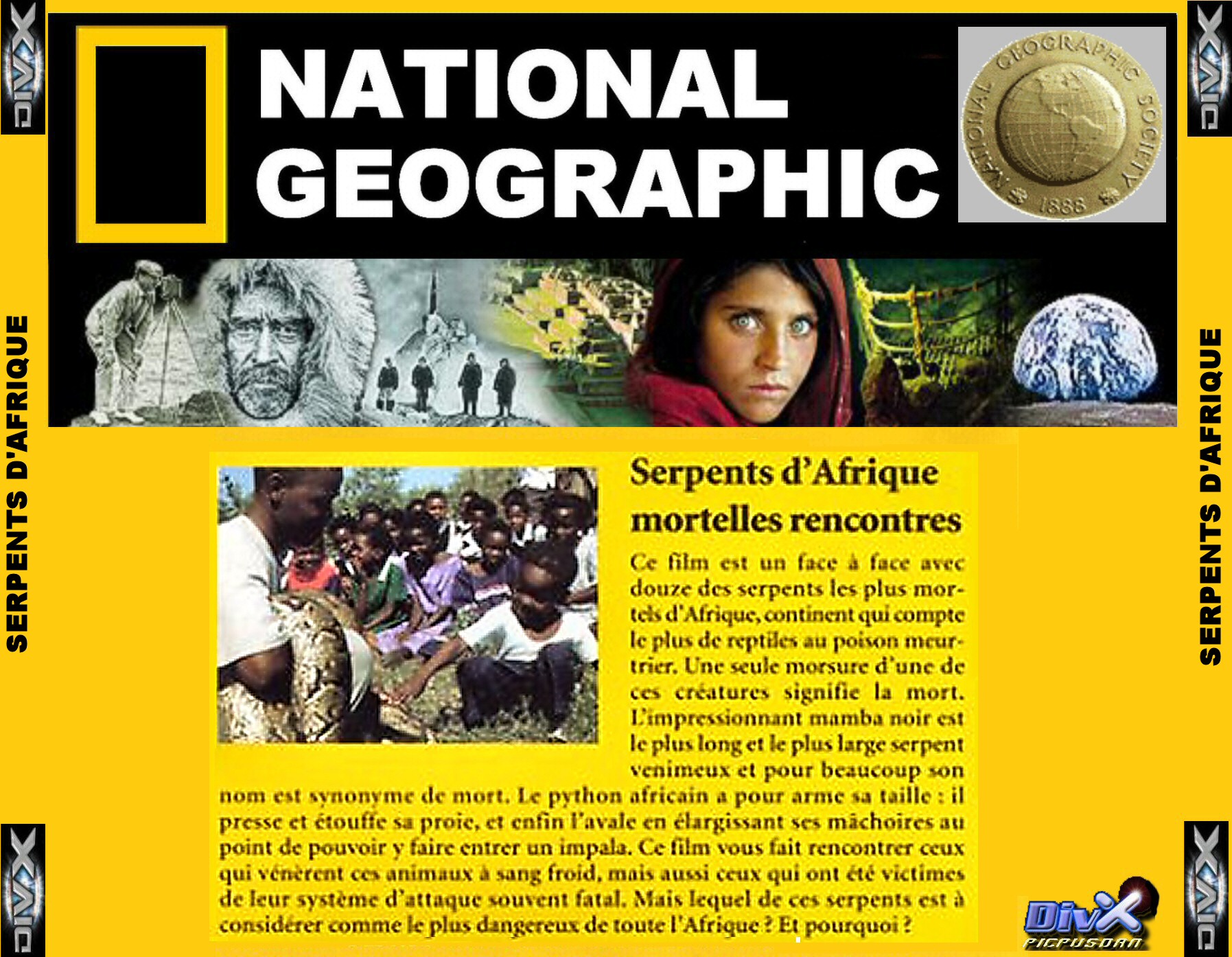 national geographic serpents d afrique mortelles rencontres