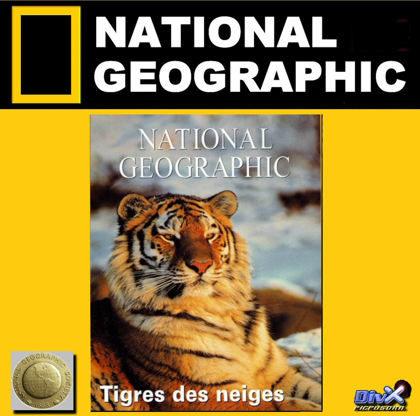 national geographic serpents d afrique mortelles rencontres